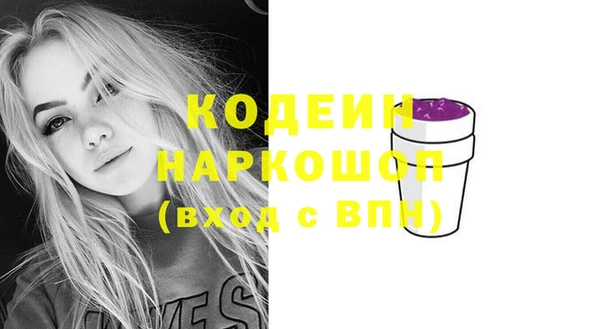 соль ск Бородино