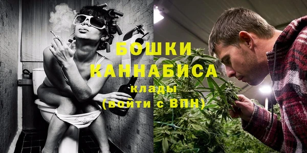 соль ск Бородино