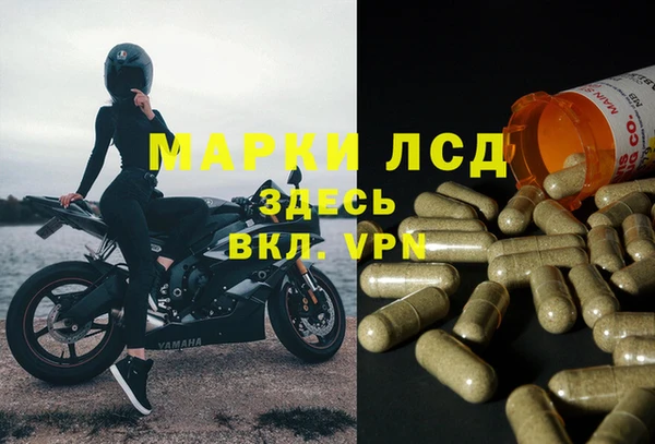 соль ск Бородино
