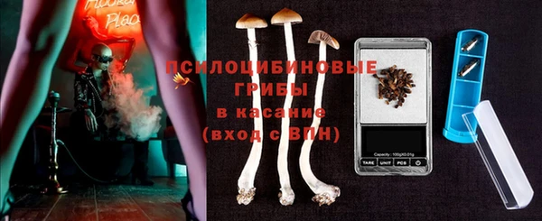 прущая мука Верея