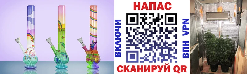 Шишки марихуана тримм цена наркотик Дубна
